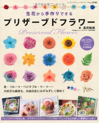 Lady Boutique Series no. 3546 Handmade Craft Book Preserved Flow... book form JP