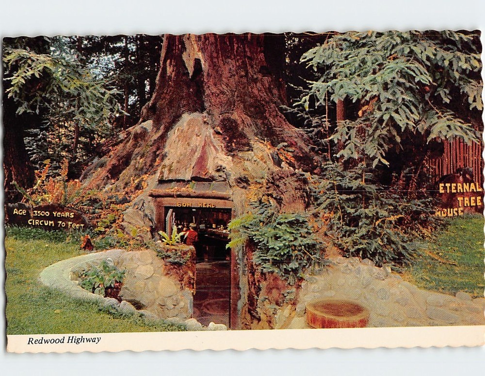 Postcard Eternal Tree House Redwood Highway Redcrest California USA