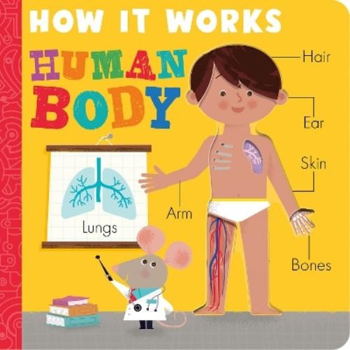 Amelia Hepworth How it Works: Human Body (Board Book) How It WorksAnother great item from Rarewaves USA | Free delivery!