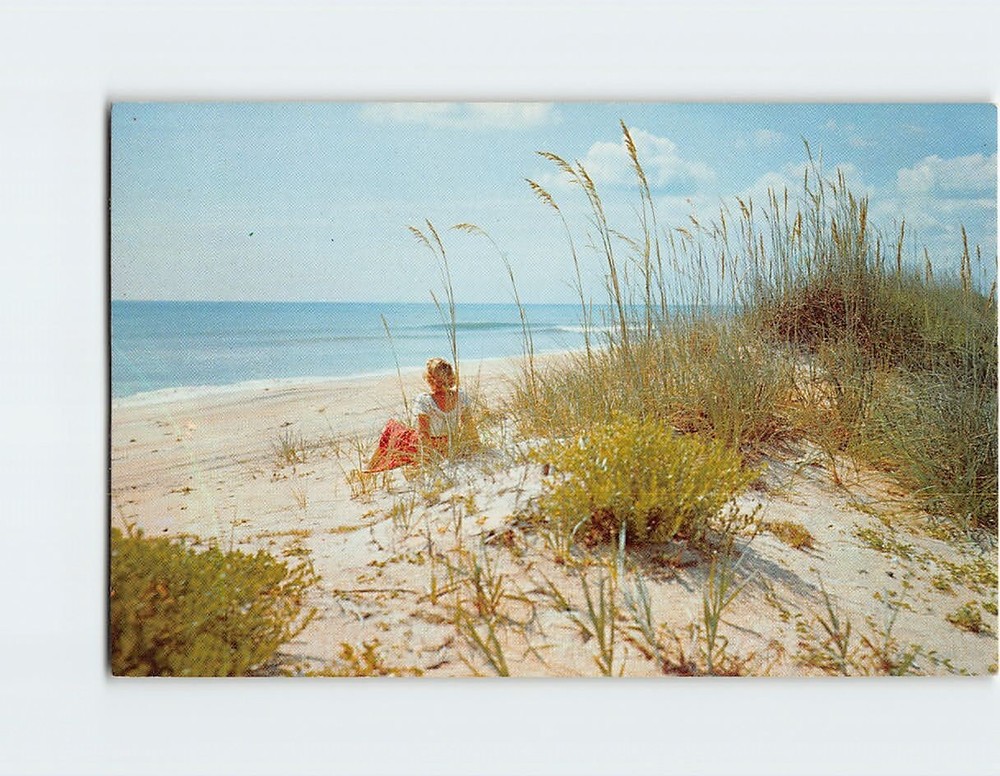 Postcard Along the Beautiful Sandy Beaches of Florida USA