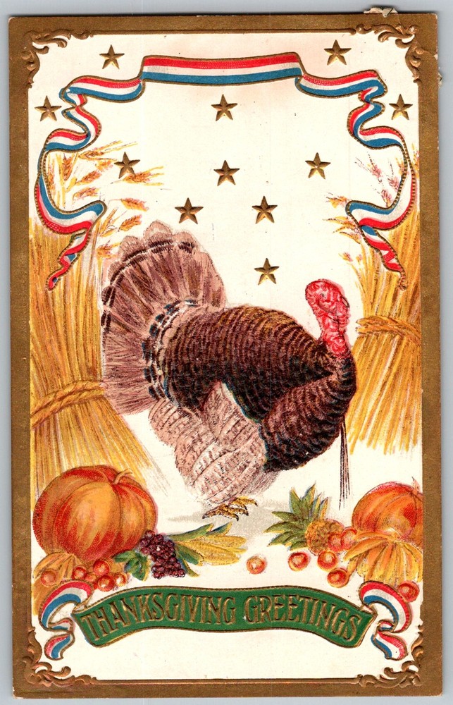 Antique Postcard Thanksgiving Turkey Greeting US 1910s