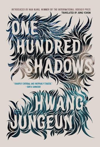 Hwang Jungeun One Hundred Shadows (Hardback)Another great item from Rarewaves USA | Free delivery!