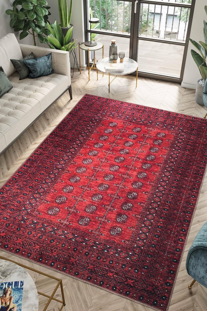 3x5 Rug - Machine Washable Entry Rug with Non-Slip Backing, Ideal for Enteryw...