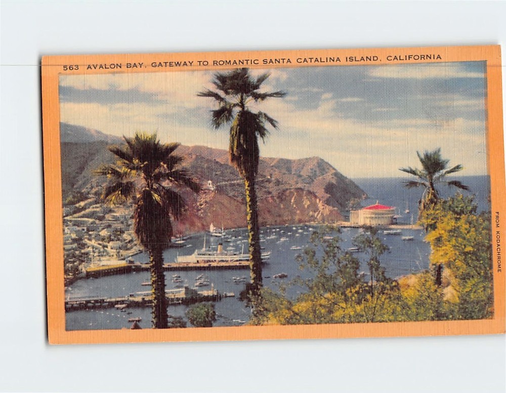 Postcard Avalon Bay Santa Catalina Island California USA