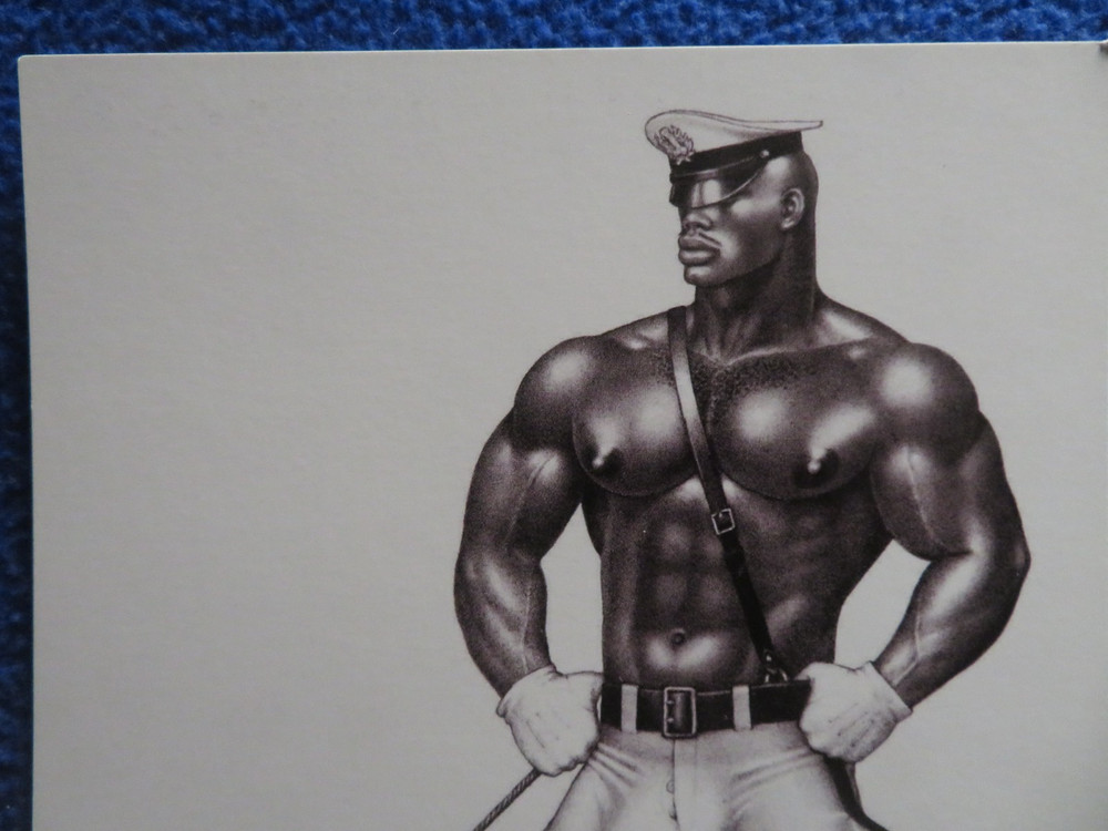 Black  Tom Of Finland  5X7  Postcard