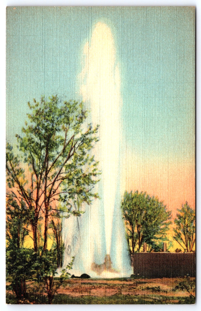 Vintage Postcard Roswell New Mexico Largest Artesian Well In World Oasis Ranch