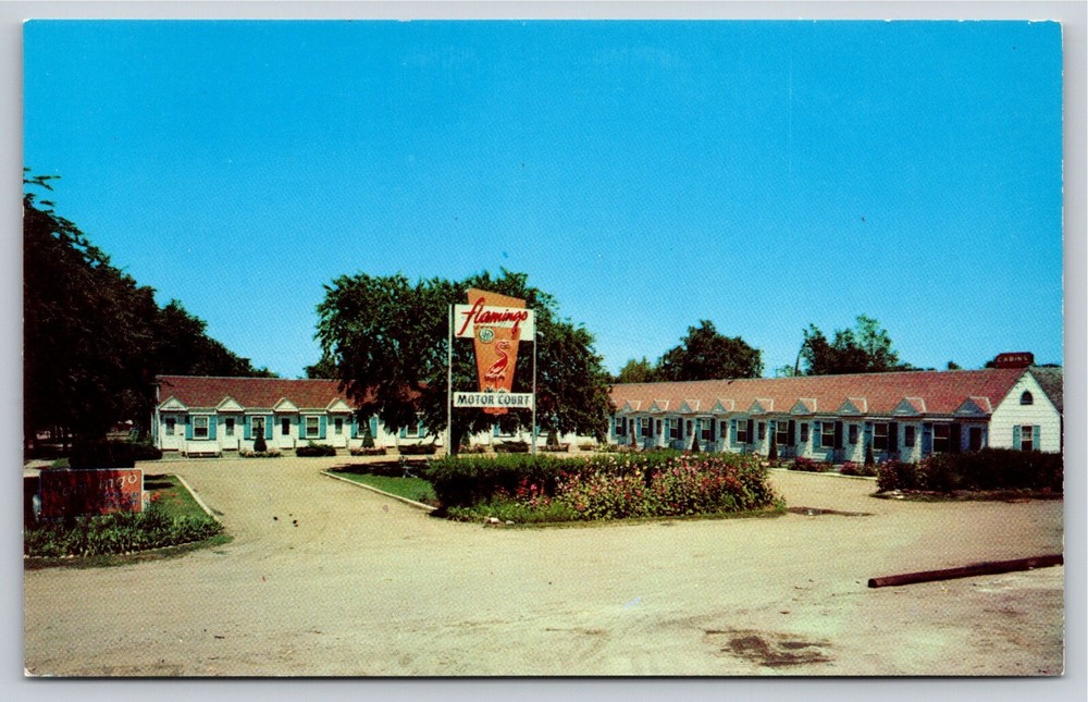 Roadside~Mitchell South Dakota~Flamingo Motor Court Sign & Entrance~Vtg Postcard