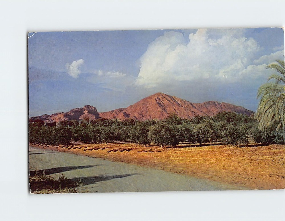 Postcard Famous Camelback Mountain Phoenix Arizona USA