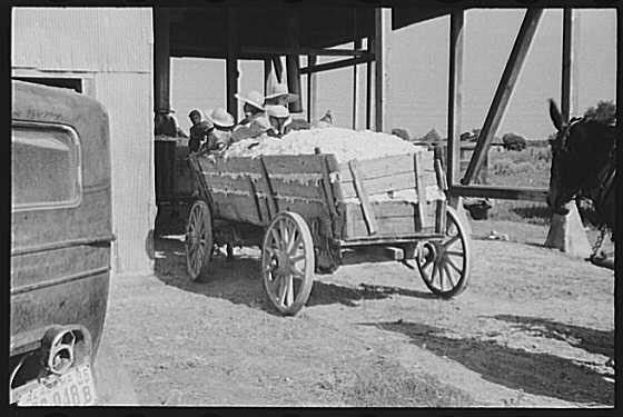 Photo:Moundville Alabama Cotton Gin 1930s Farm Wagon Loading Cotton