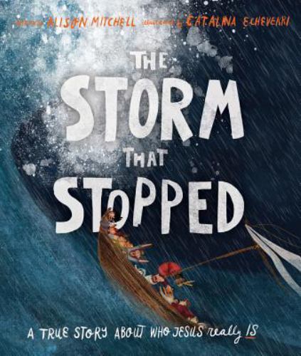 Storm That Stopped : A True Story About Who Jesus Really Is, Hardcover by Mit...