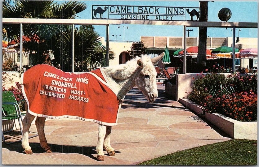 Vintage 1960s PHOENIX, Arizona Postcard CAMELBACK INN 