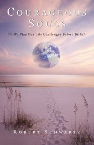 Courageous Souls: Do We Plan Our Life Challenges Before Birth? - VERY GOOD