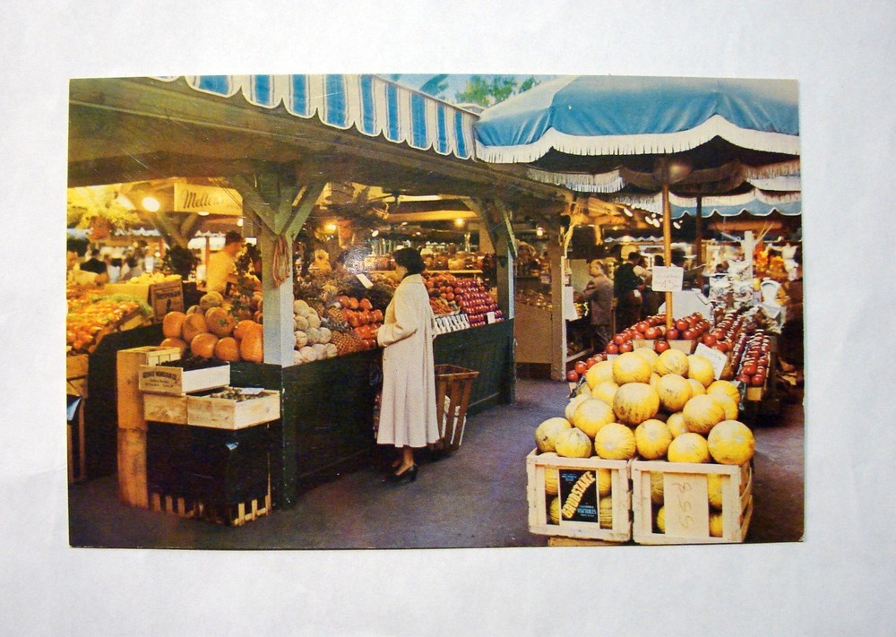Vintage Postcard 