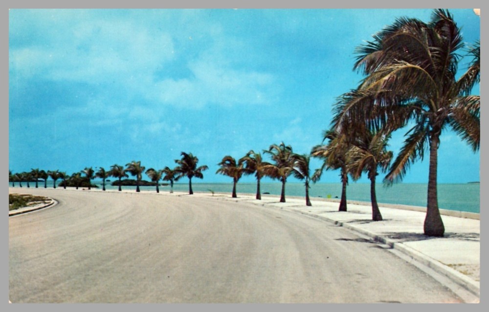 Roosevelt Boulevard Key West Florida Chrome c1950 UNP Vintage Dexter Postcard