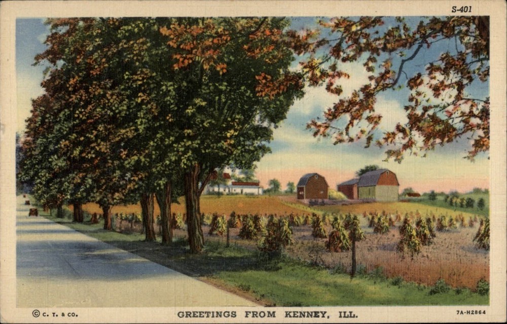 Illinois Greetings from Kenney autumn ~ postcard  sku171