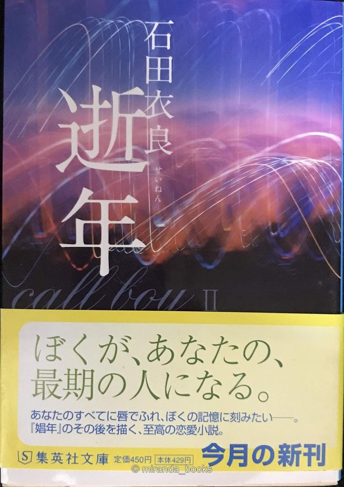 The Year of Passing Shueisha Bunko