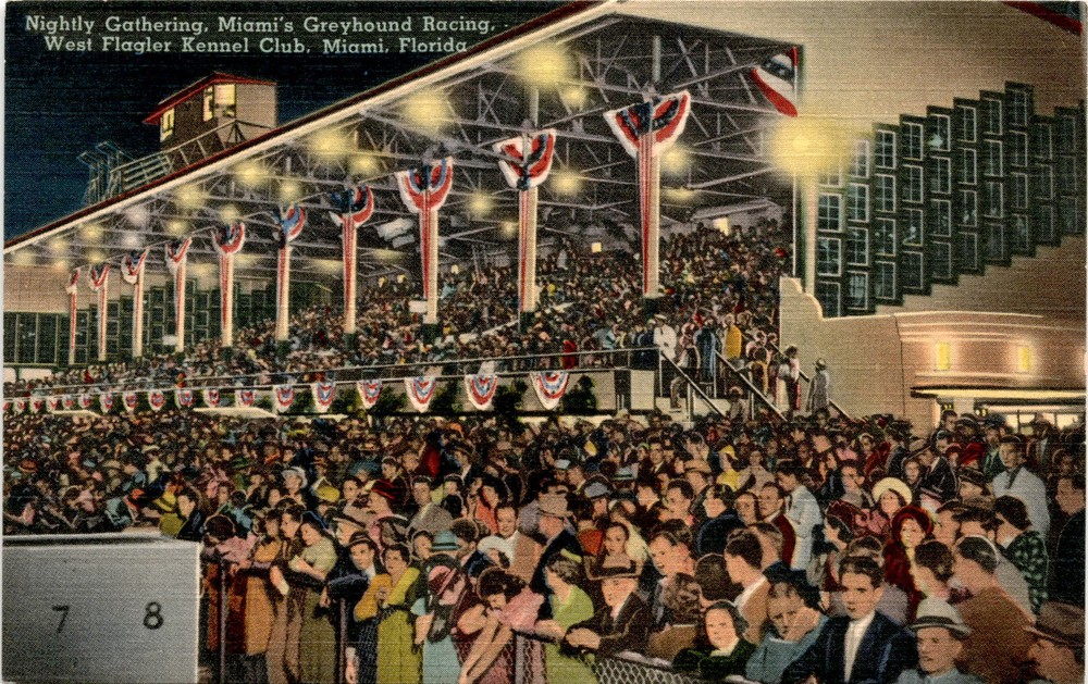 Miami, Greyhound Racing, West Flagler Kennel Club, Florida. Postcard