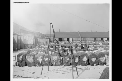 Weighing cotton,industrial facilities,scales,Detroit Publishing Company,c1903