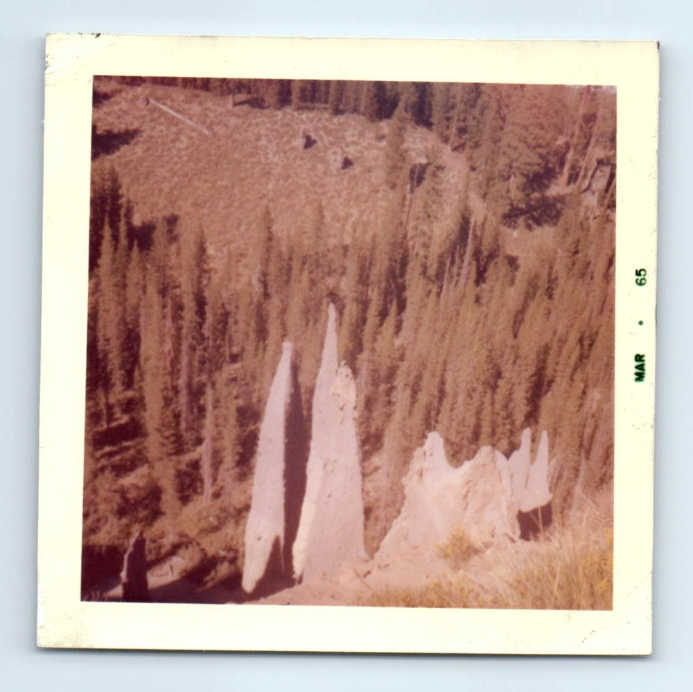 Old Vintage Square Color Photo LANDSCAPE POINTY ROCKS FOREST TREE SNAPSHOT
