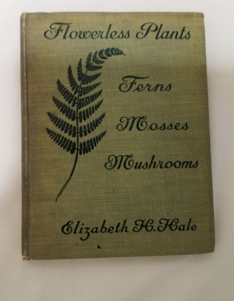 1907 Flowerless Plants Ferns, Mushrooms, Mosses, Lichens and Seaweeds - Hale
