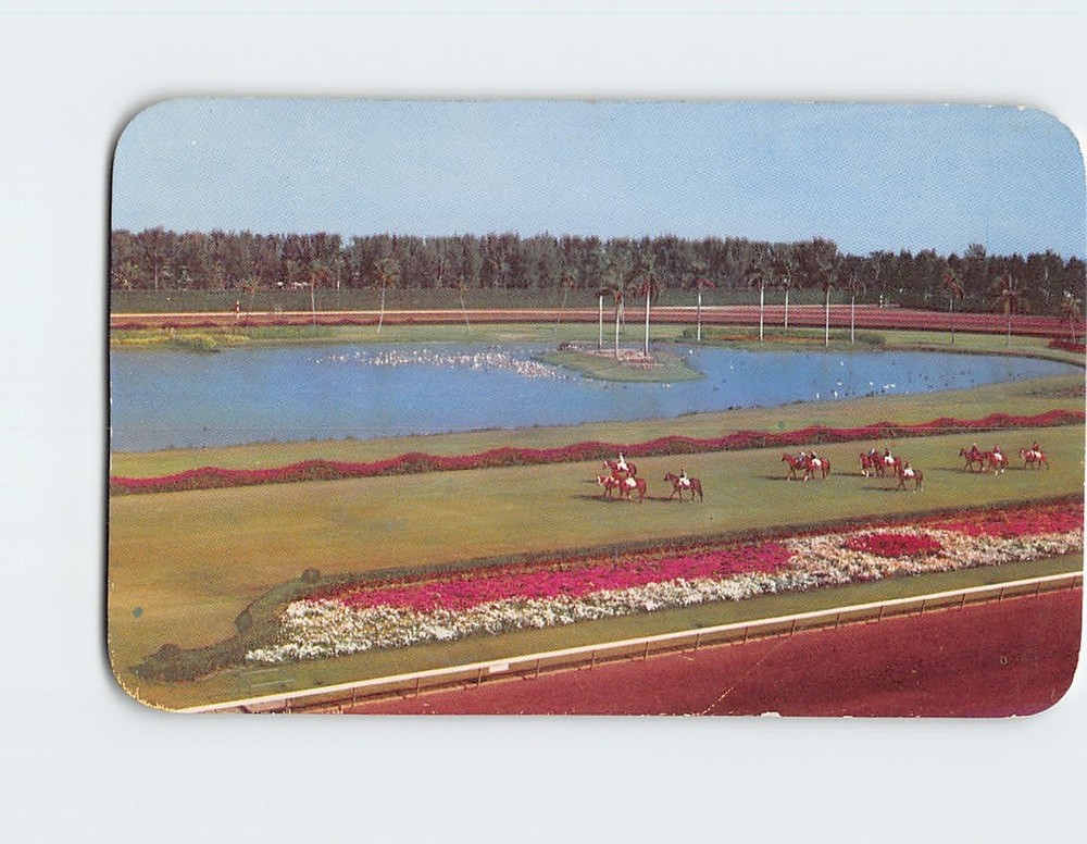 Postcard Parading To The Post On The Turf At Hialeah Race Course Hialeah FL USA
