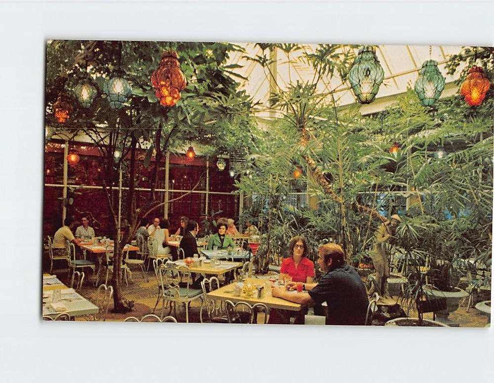 Postcard Patio Dining Indoor Garden Kapok Tree Inn Clearwater Florida USA