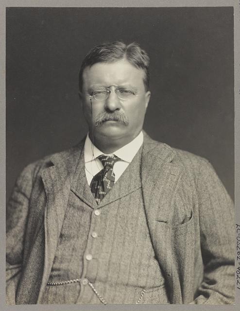 Photo:Theodore Roosevelt, facing front, half-length portrait