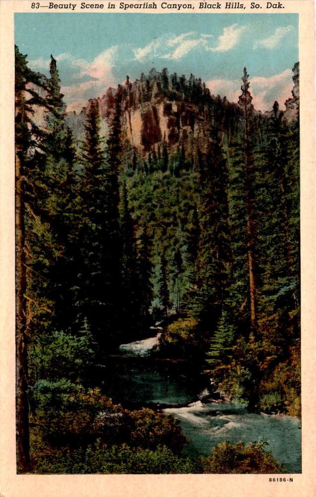 Spearfish Canyon, Black Hills, Deadwood, Lead, Bridal Veil Falls, Rough Postcard