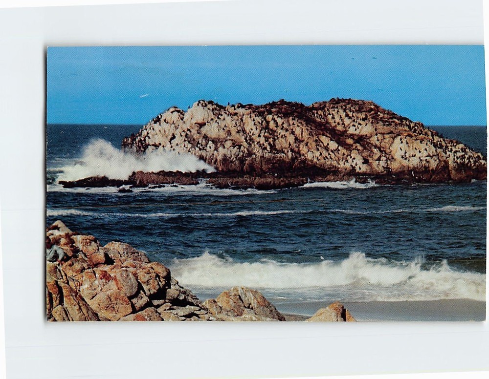 Postcard Seal & Bird Rocks 17 Mile Drive Monterey Peninsula California USA