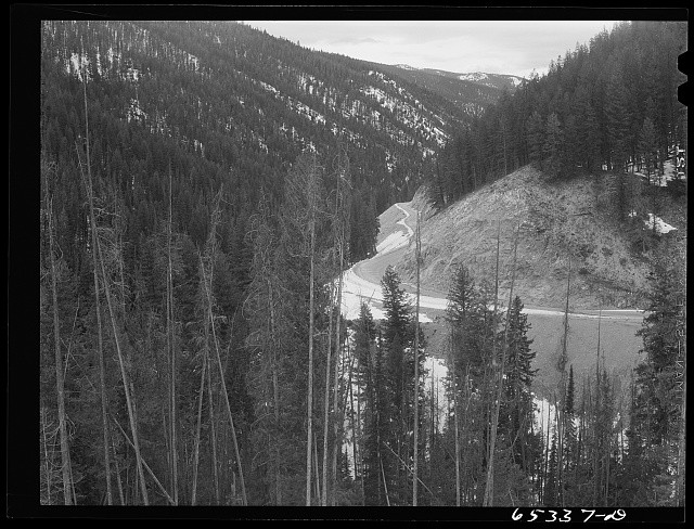 Photo:Rocky Mountain Pass Forest Road 1930s Snowy Valley Bend