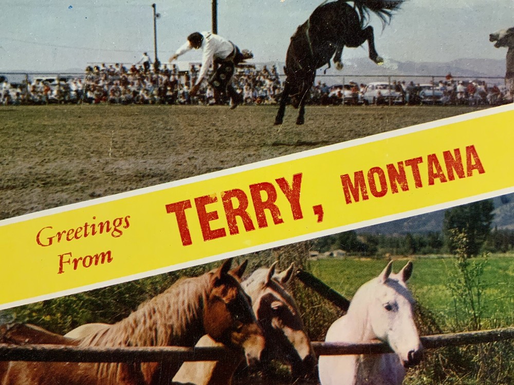 Greetings from Terry Montana Rodeo Cowboys Horse 1950s Vintage Postcard Unposted