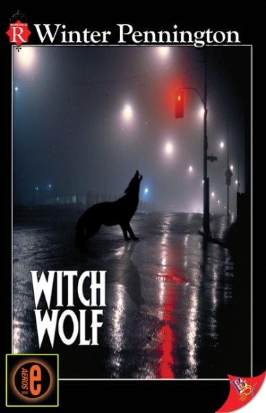 Witch Wolf, Paperback by Pennington, Winter, Like New Used, Free shipping in ...