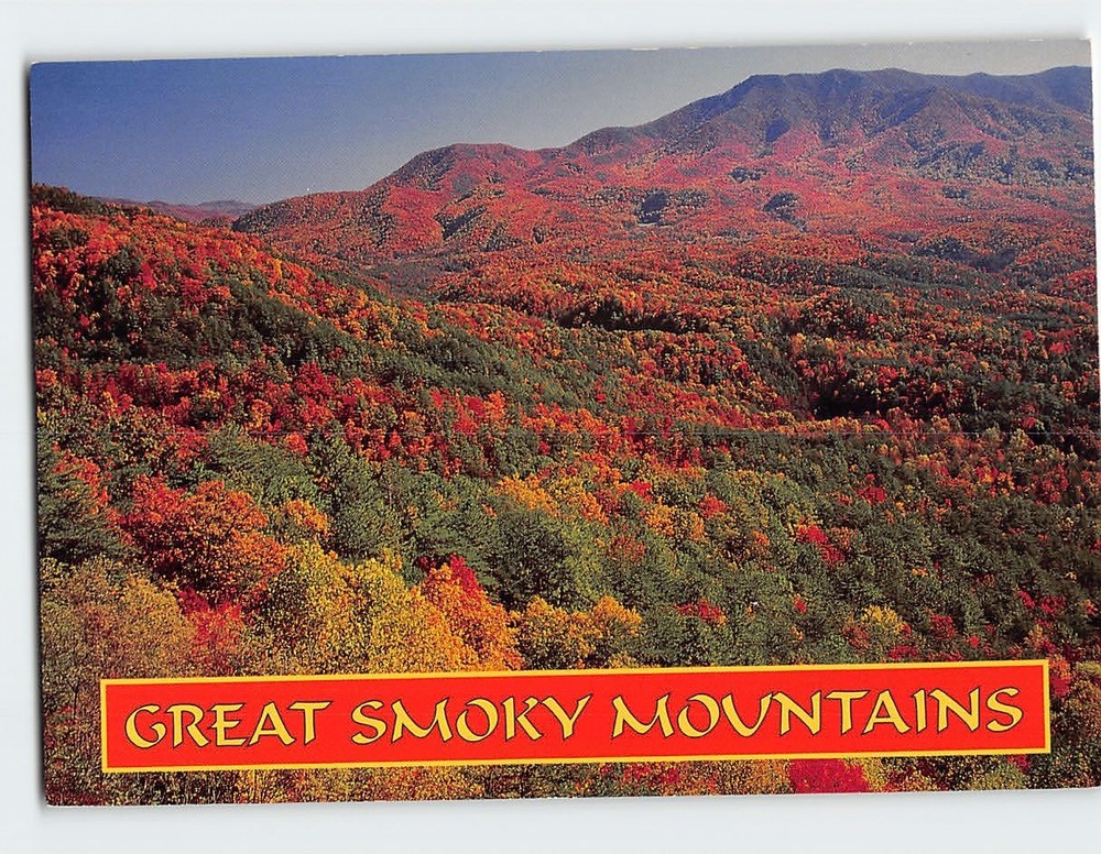 Postcard Scenic View of Great Smoky Mountains National Park USA