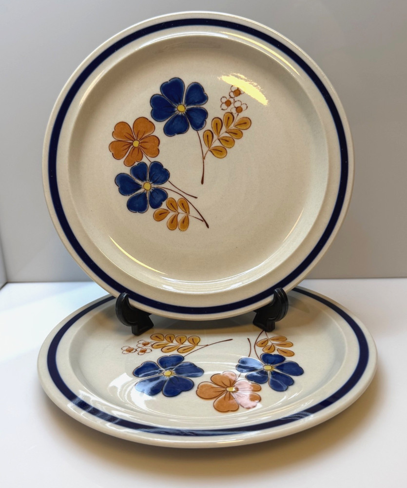 Set of 2 Vintage Newcor Stoneware Salad Plates in 