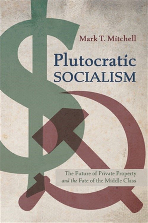 Plutocratic Socialism (Paperback or Softback)