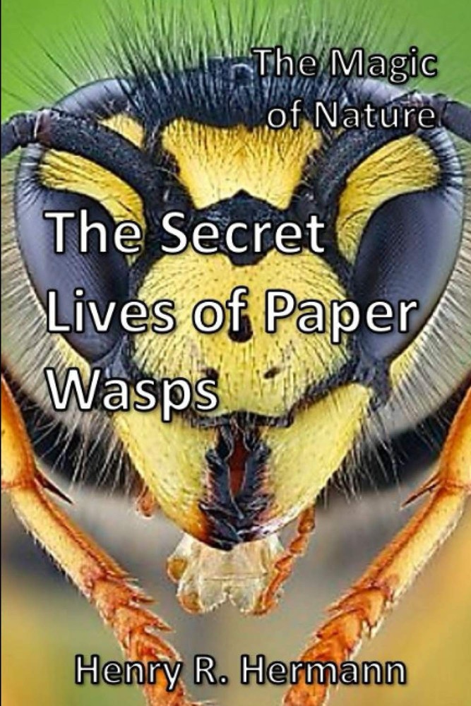 The Magic of Nature: The Secret Lives of Paper Wasps