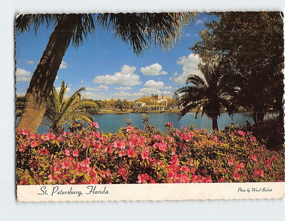 Postcard Azaleas Beside Mirror Lake St. Petersburg Florida USA