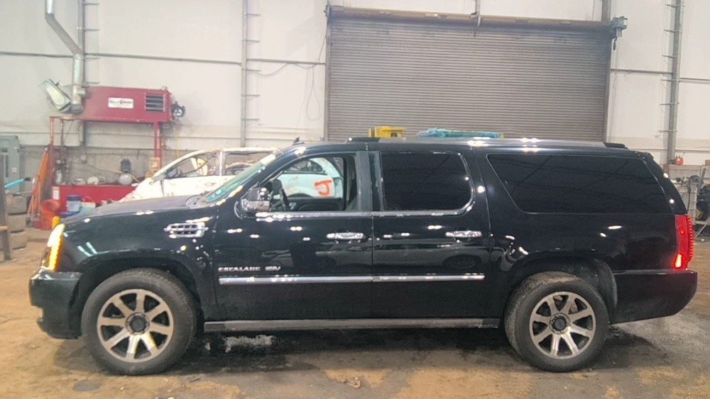 ESCALAESV 2013 Fuel Filler Door 6944023