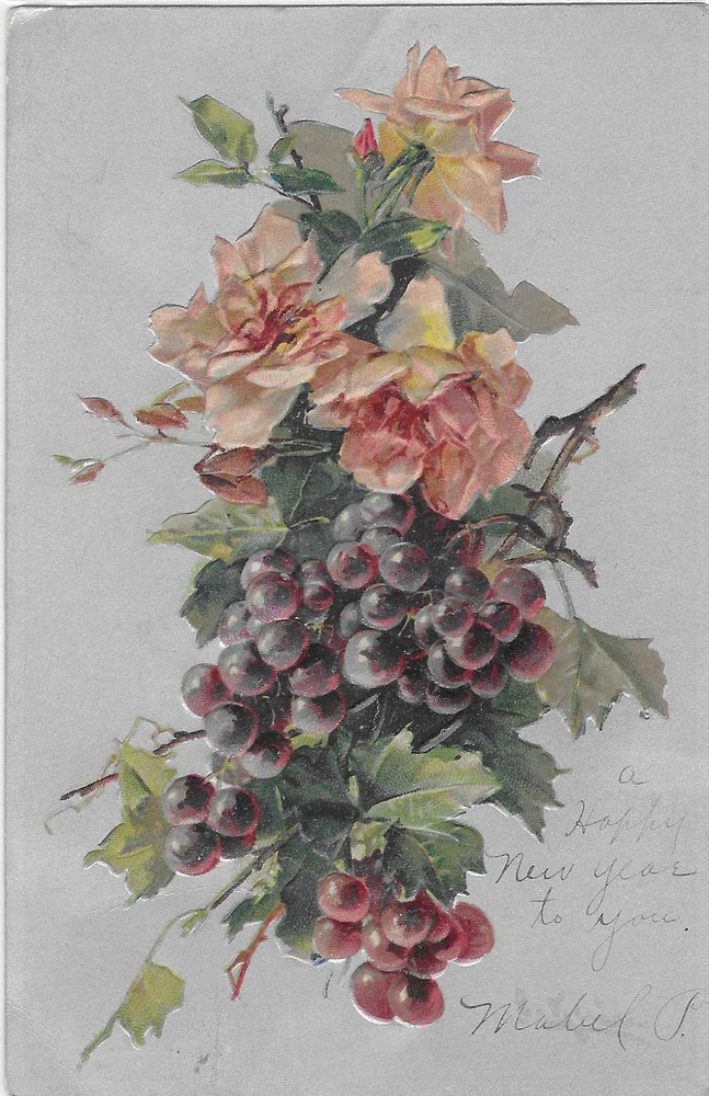 Vintage Greetings Postcard Embossed Pink Roses Grapes Cluster 1906 Postmark