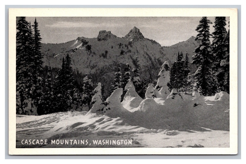 Cascade Mountains, WA Washington, Winter Snow Scene, Vintage Postcard