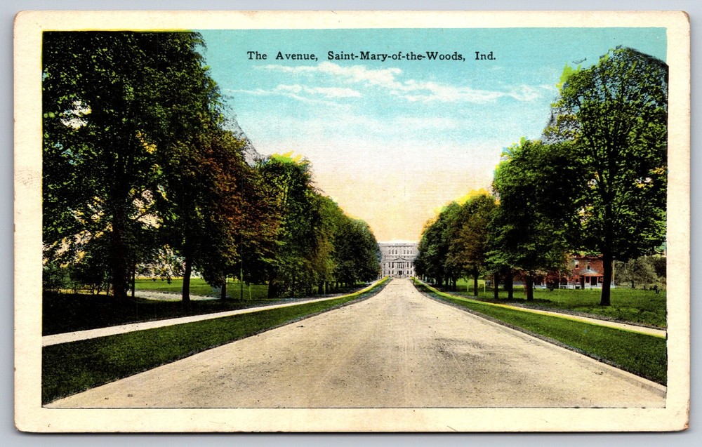 Saint Mary Of The Woods Indiana~Tree-Lined Avenue Road View~Bldg~1920s Postcard