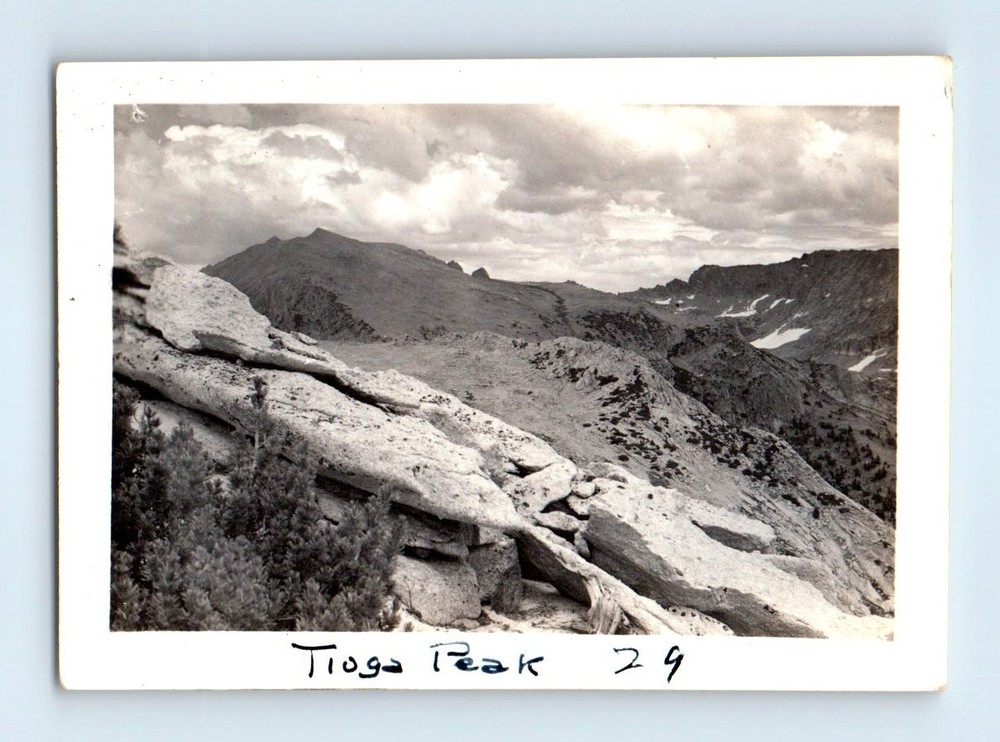 Old Vintage Photo TIOGA PEAK YOSEMITE MOUNTAIN LANDSCAPE SNAPSHOT PHOTOGRAPH