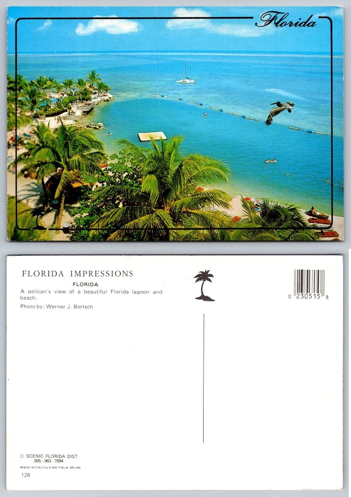 Florida Lagoon & Beach Postcard Werner J Bertsch Pelican View Chrome