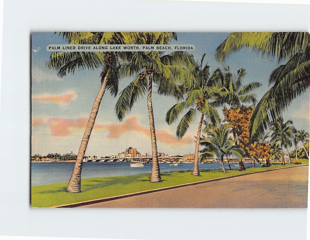 Postcard Palm Lined Drive Along Lake Worth Palm Beach Florida USA