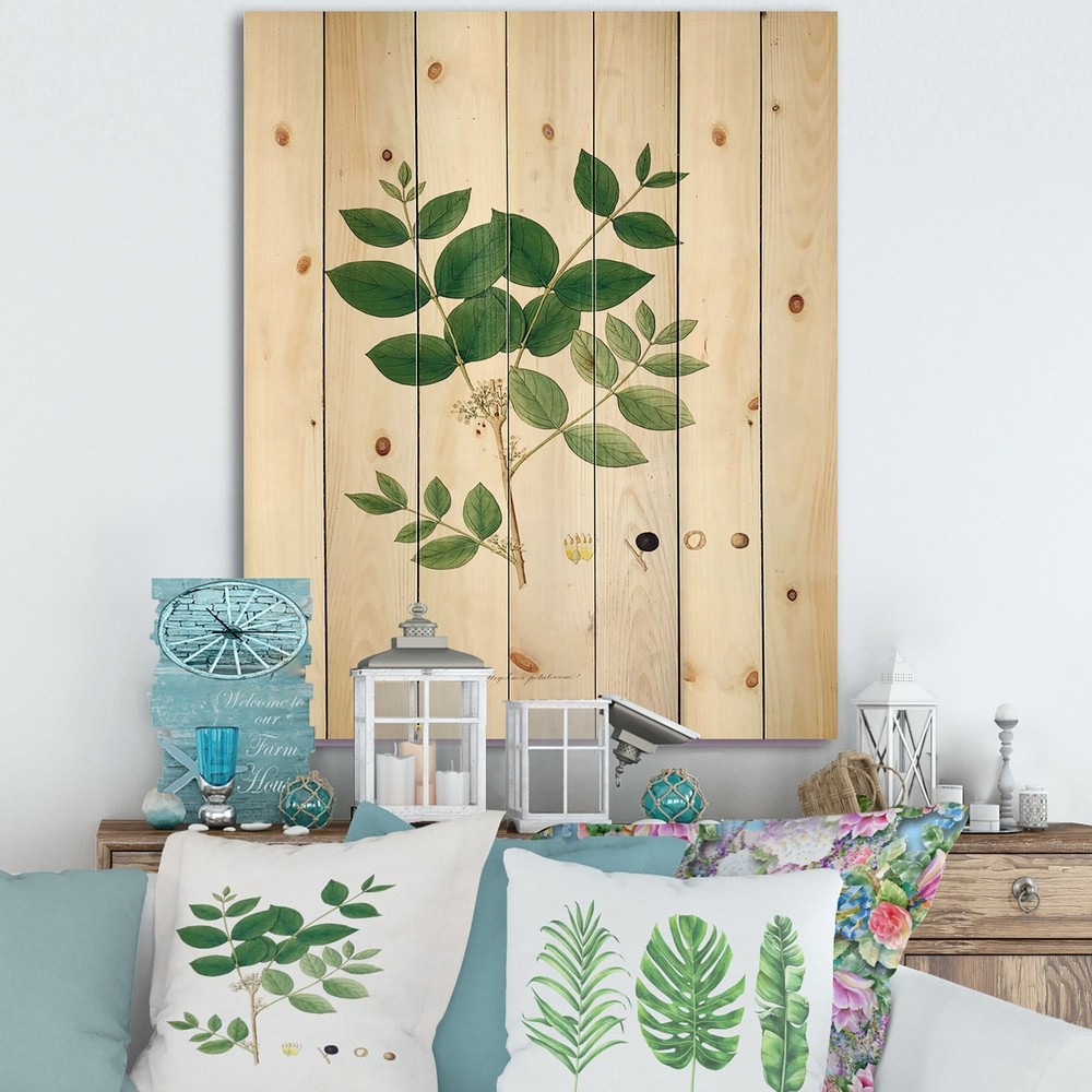 Designart 'Vintage Botanicals VI' Farmhouse Print on Natural