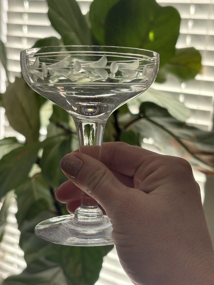 Vintage Etched Champagne Coupe Glass Floral Leaf Stemware Art Deco Style