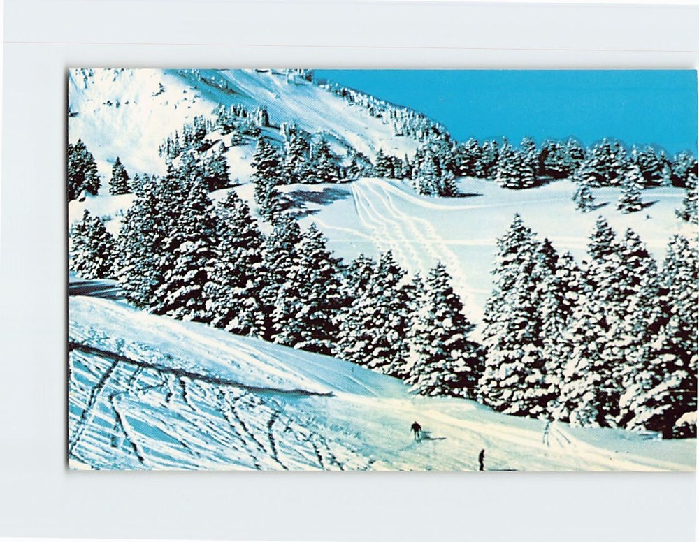 Postcard Bridger Bowl Montana USA