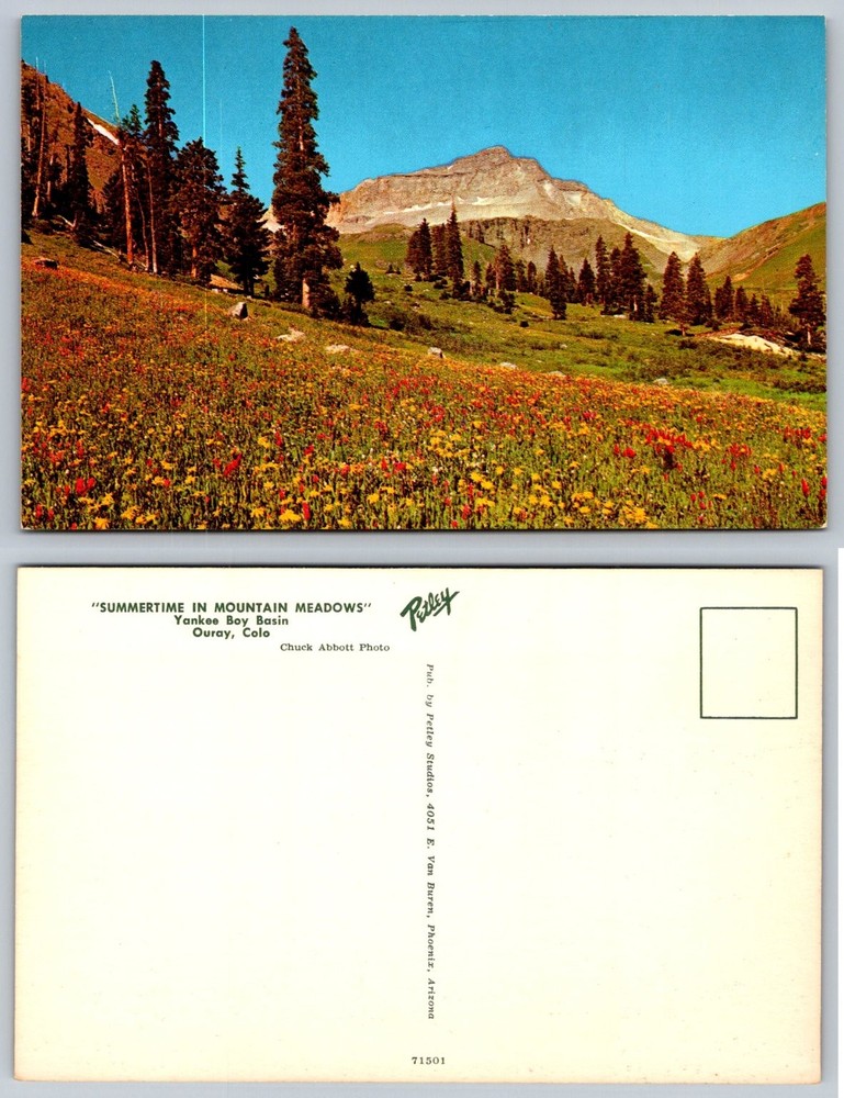 Yankee Boy Basin Ouray CO Mountain Meadows Wildflowers Postcard Petley