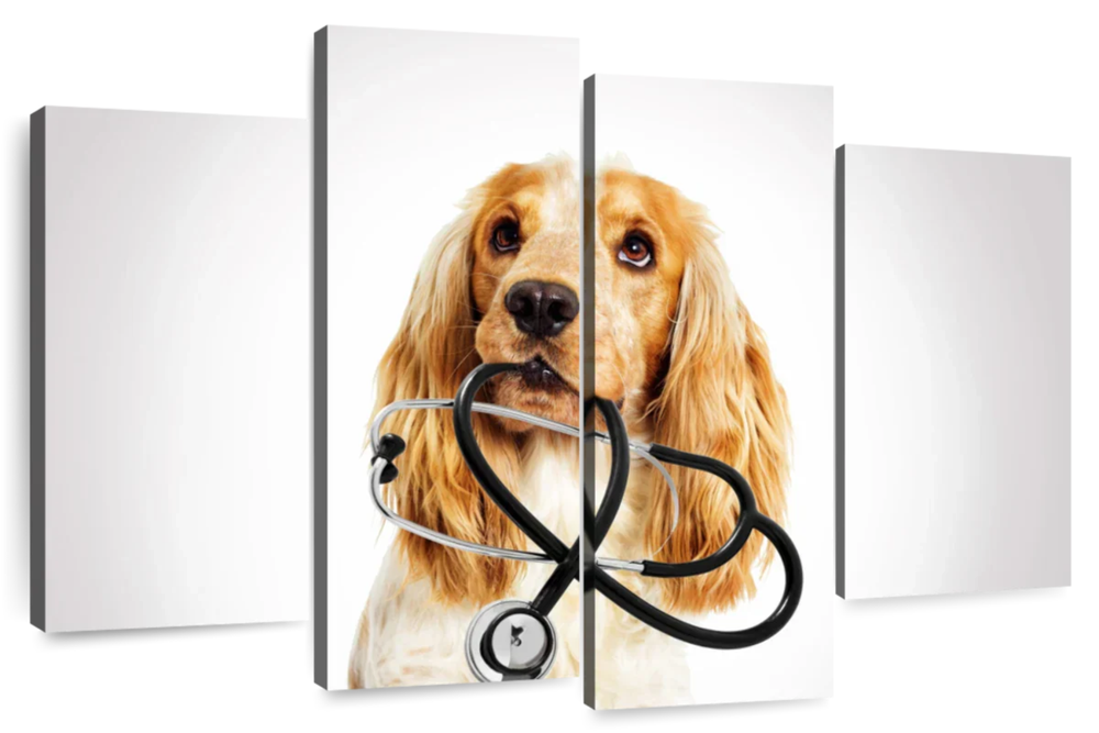 Doctor Dog Wall Art