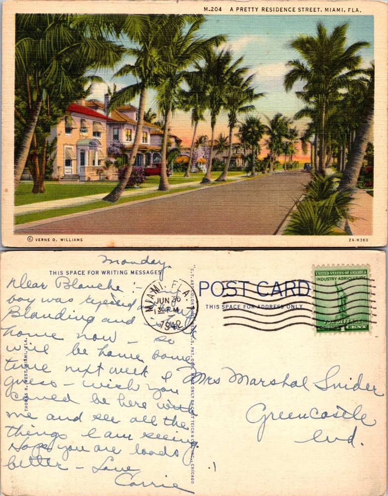 Palm Lined Residence Street Miami Florida FL Postcard